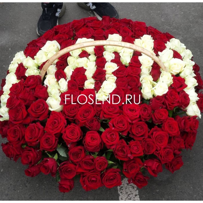 155 красных и белых роз в корзине для мамы