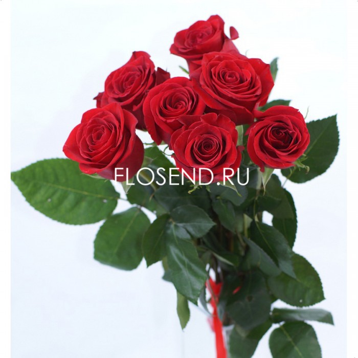 Букет «7 красных роз»