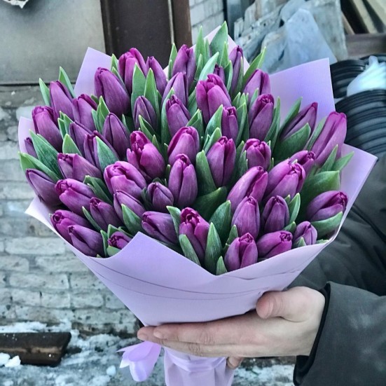 Букет из 51 фиолетового тюльпана - фото 6